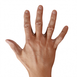 Reece Burke Retopo Hand Scan